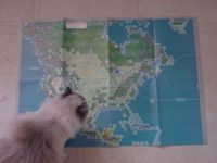 84325 America in Flames