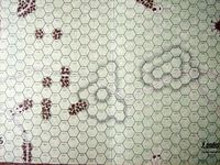 309896 Landships! Tactical Weapons Innovations 1914-1918 (Boxless)