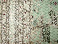 309897 Landships! Tactical Weapons Innovations 1914-1918 (Boxless)