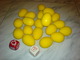 130296 Dancing Eggs