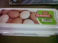 1500669 Dancing Eggs