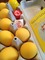 1619831 Dancing Eggs