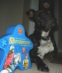 1024309 Carcassonne Jubilaumsedition