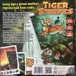 7260773 Tiger Stripes